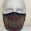 Oxford Blue Country Cotton Plaid Face Mask