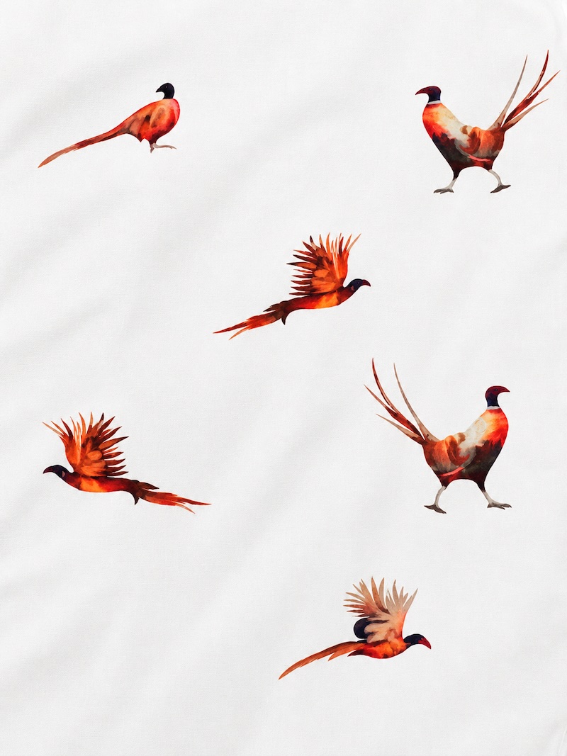 Hazy Blue Ladies Diana Printed Shirt - Pheasant